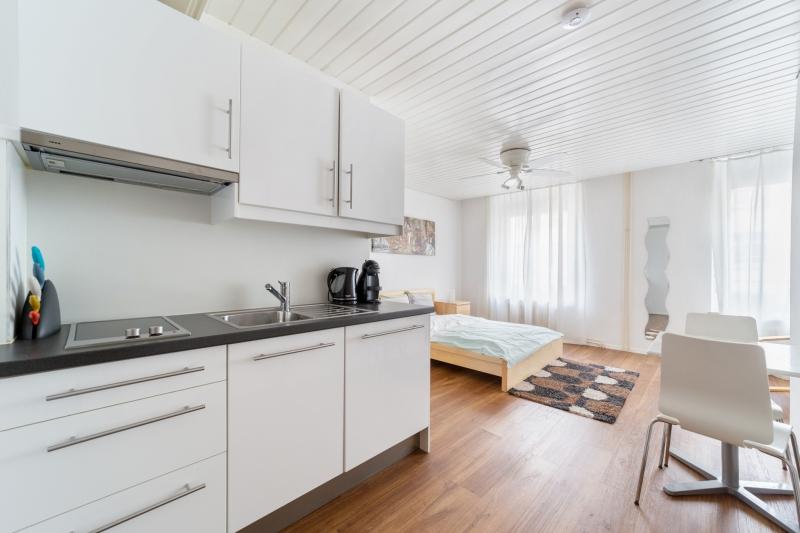 Grosszügiges Apartment - 1.5 Zimmer Möblierte Wohnung in Basel