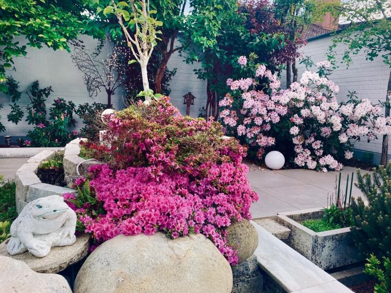  Harmonie und Eleganz mit asiatischem Flair - 