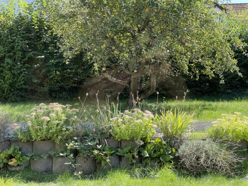 Garten - 