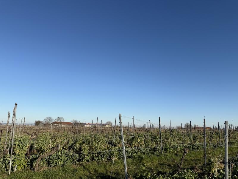 Aussicht - 