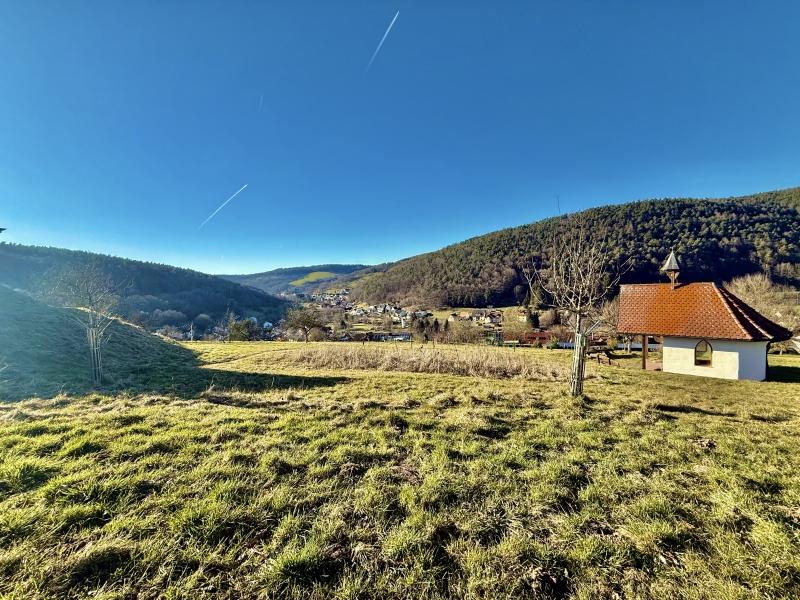 Aussicht - 