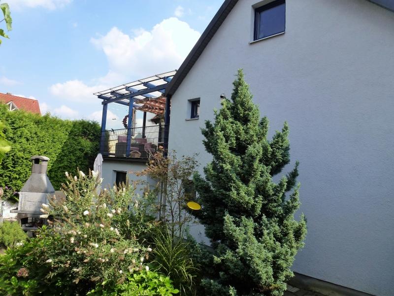 Blick in den Garten - 