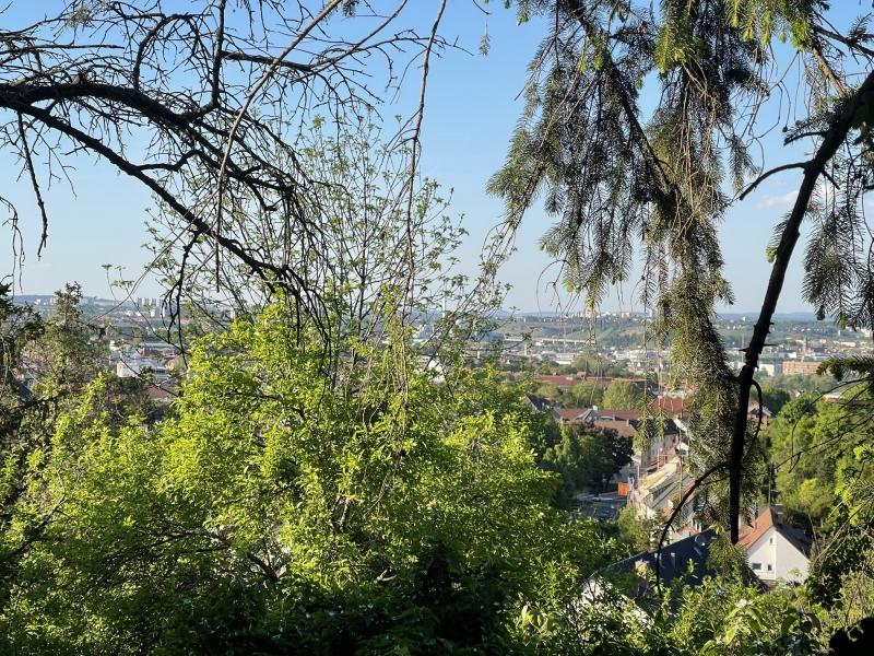 Ausblick - 