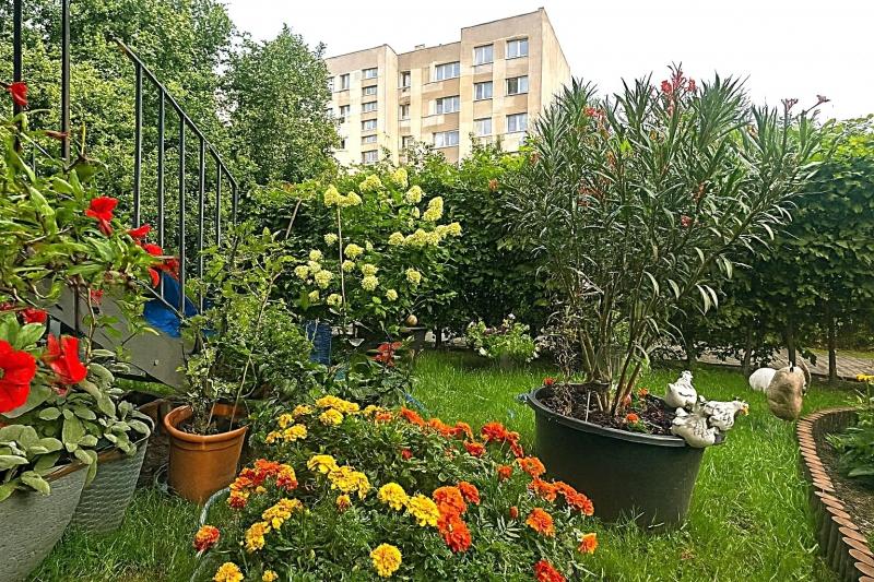 Blumenparadies - 