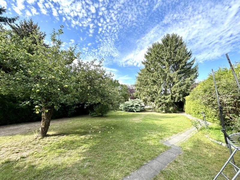 gepflegtes Grundstück - 