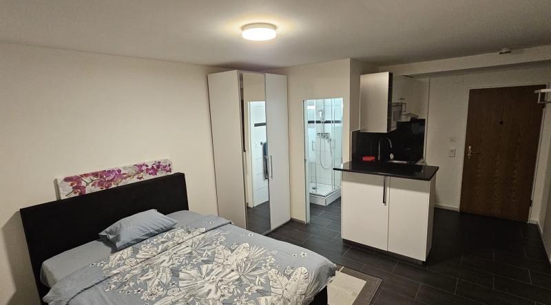 Zimmer - 1.5 stanze Monolocale a Basel