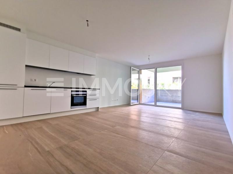 Immenso luminoso salone con cucina a vista - 2 pièces Appartement a Balerna