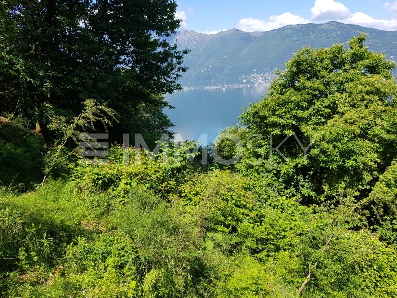 Natura rigogliosa - Land in Gerra (Gambarogno)