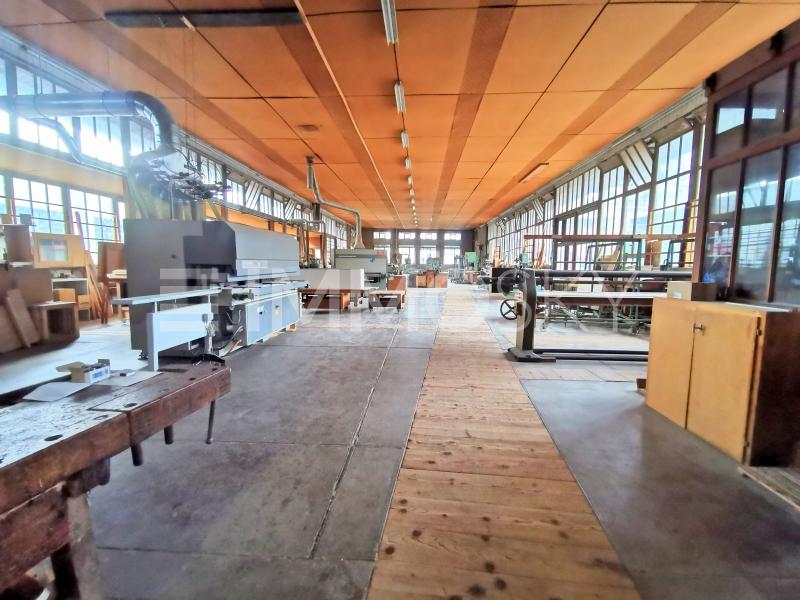 Grandi capannoni artigianali attualmente ad uso falegnameria - 1 appartamenti Edificio residenziale e commerciale a Balerna
