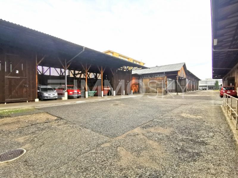 Ampio terreno con depositi  - 1 appartamenti Edificio residenziale e commerciale a Balerna