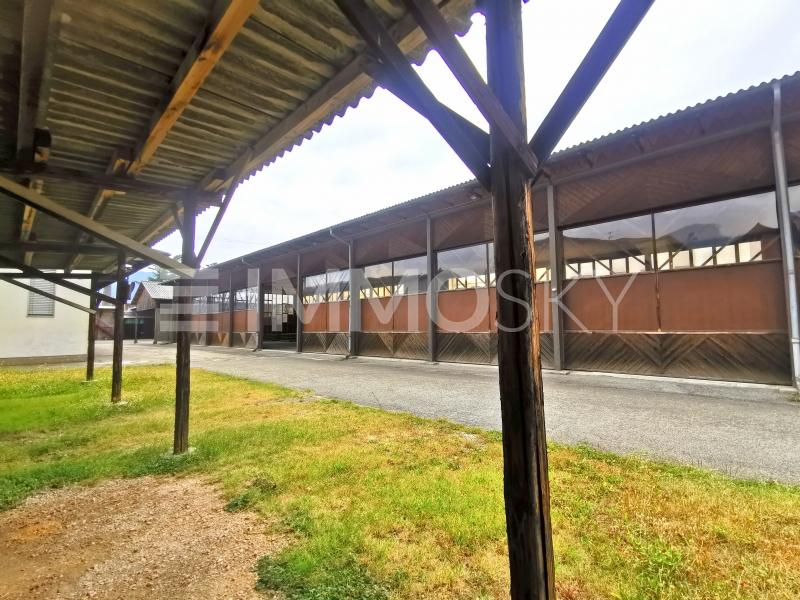 Depositi e parcheggi - 1 appartamenti Edificio residenziale e commerciale a Balerna