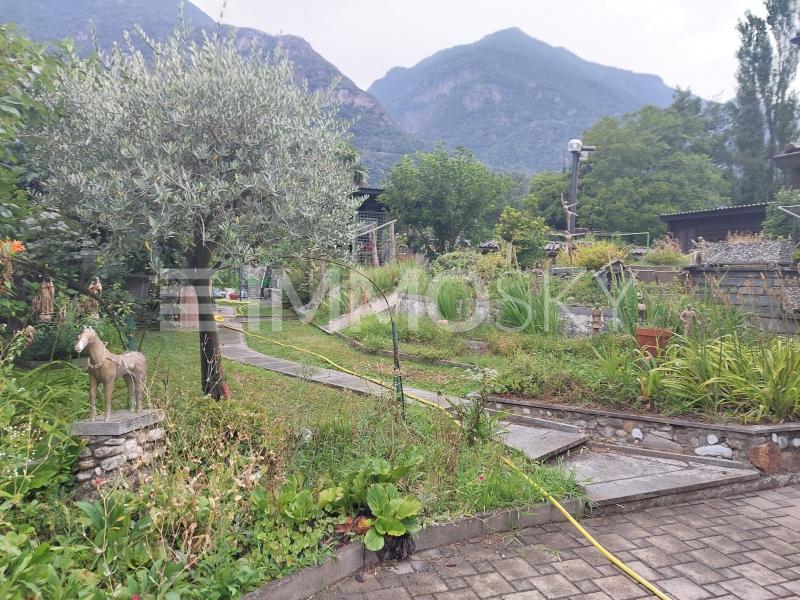 Giardino piantumato - 6 pièces Maison a Cresciano