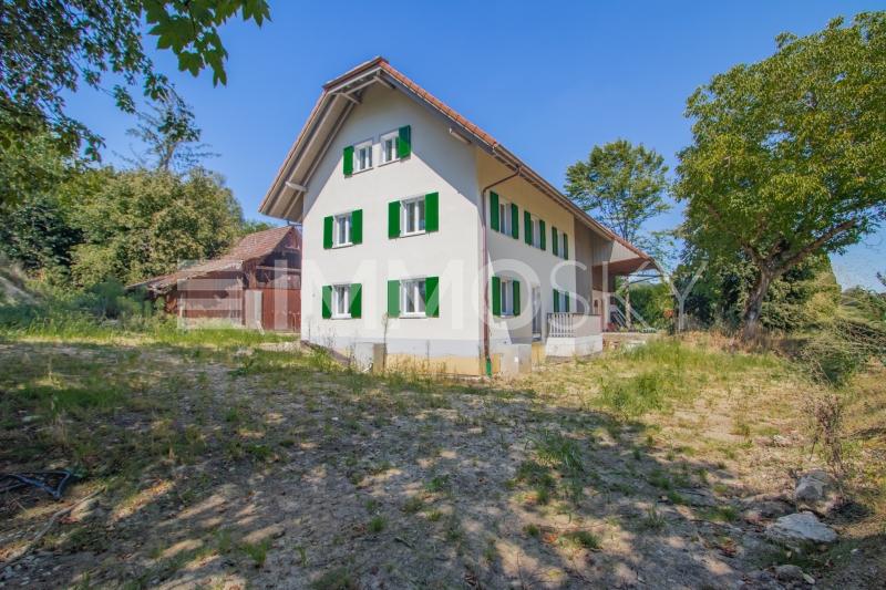 Märchenhaft - 9 rooms House in Oftringen
