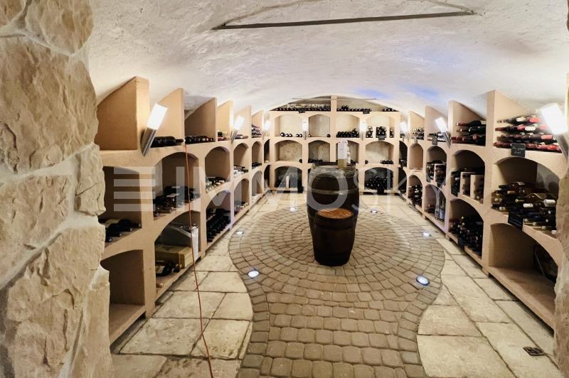 Magnifique cave à vin - 2 Wohnungen Wohn- und Geschäftshaus in Court