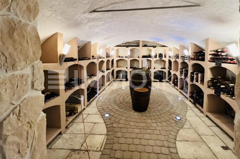 Magnifique cave à vin - 2 appartements Immeuble mixte à Court