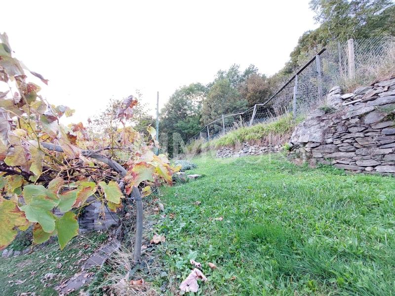 Spazio esterno  - 9.5 stanze Casa a Medeglia