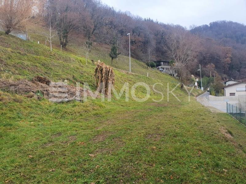Terreno edificabile - Terreno a Morbio Superiore