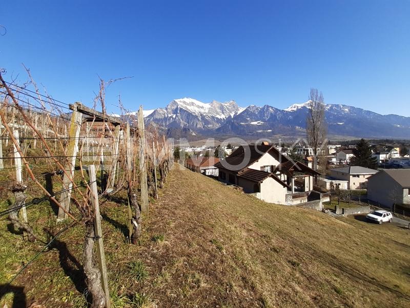 Bergsicht oberhalb der Parzelle - Bauland in Bad Ragaz