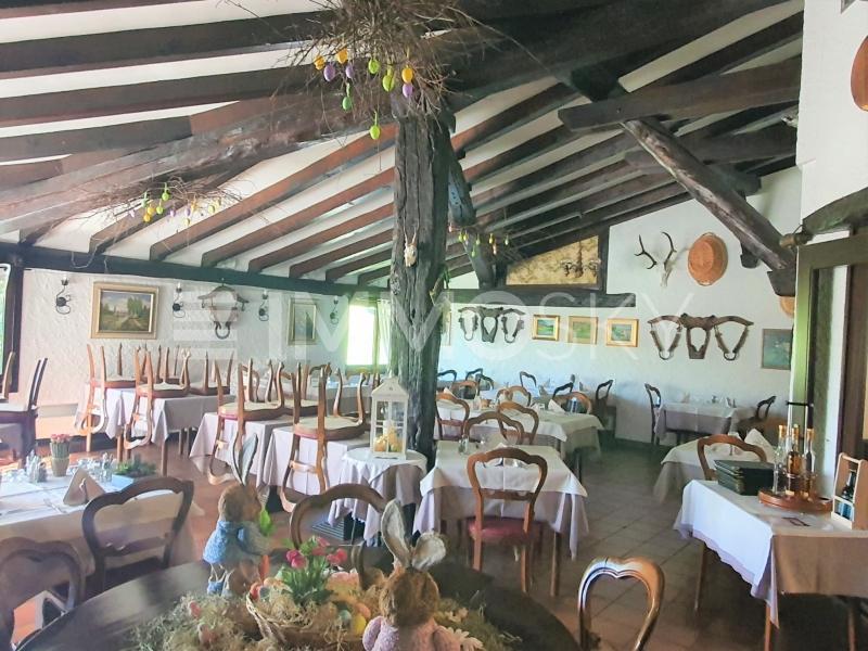 Travi in legno, stile caratteristico - 10 Zimmer Restaurant in Miglieglia