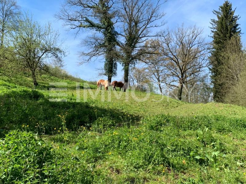 Koppel - 
