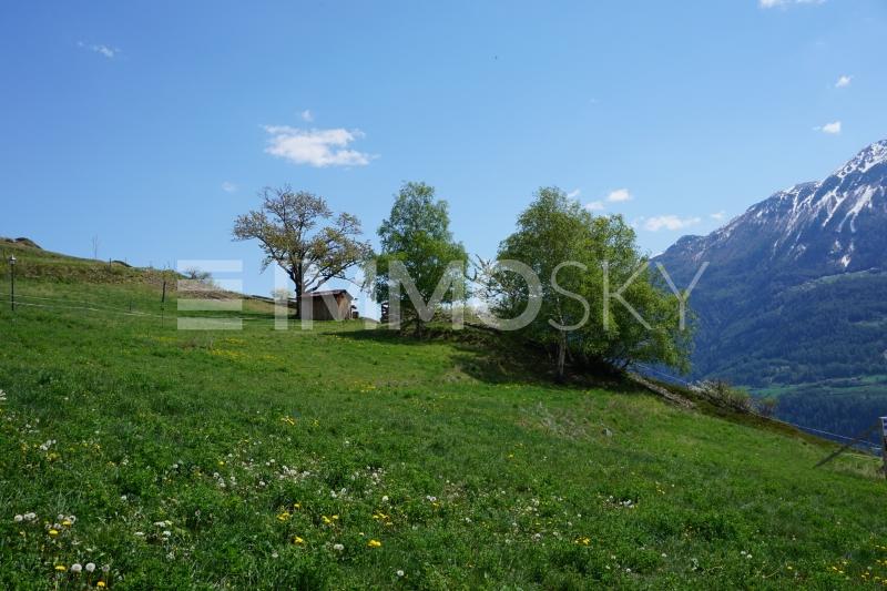 Blick Richtung Südosten - 4.5 stanze Padiglione a Erschmatt