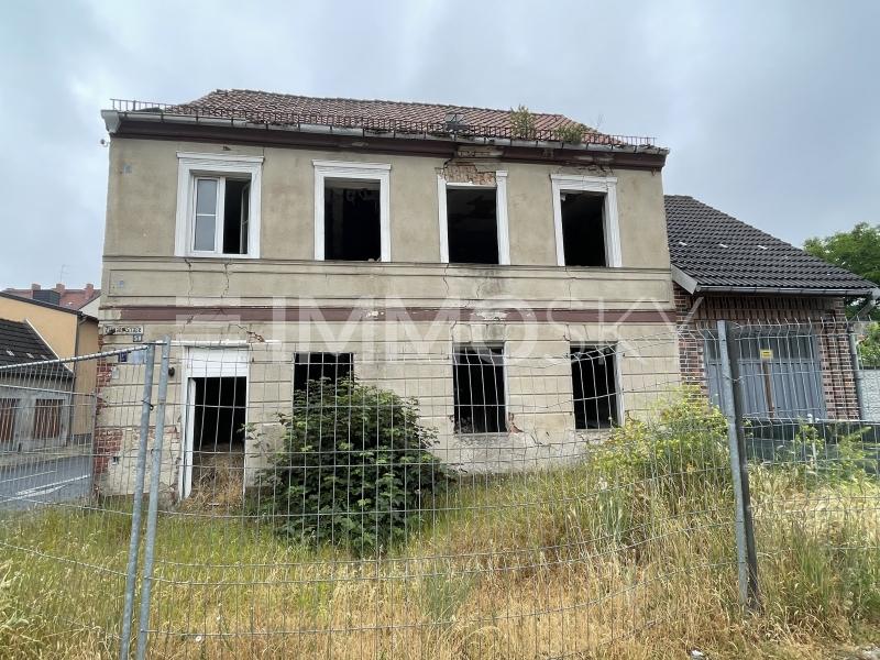 Albestand auf dem Grunstück - 