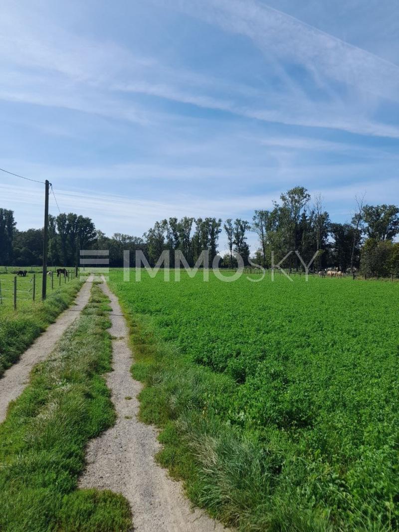 Umliegende Landschaft - 