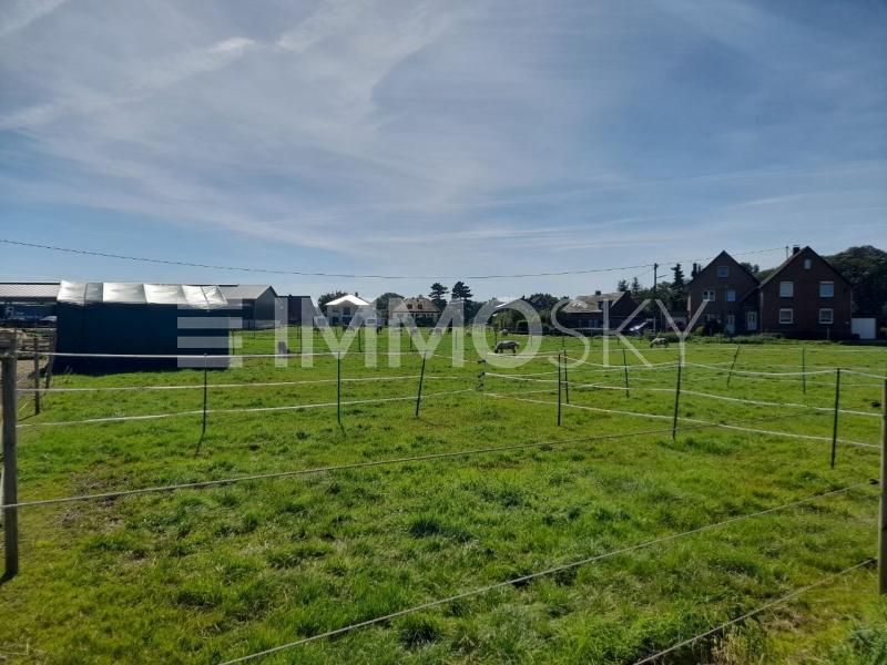 Pferdeweide - 