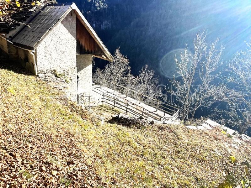Lato versante montagna - 4.5 Zimmer Rustico in Comologno