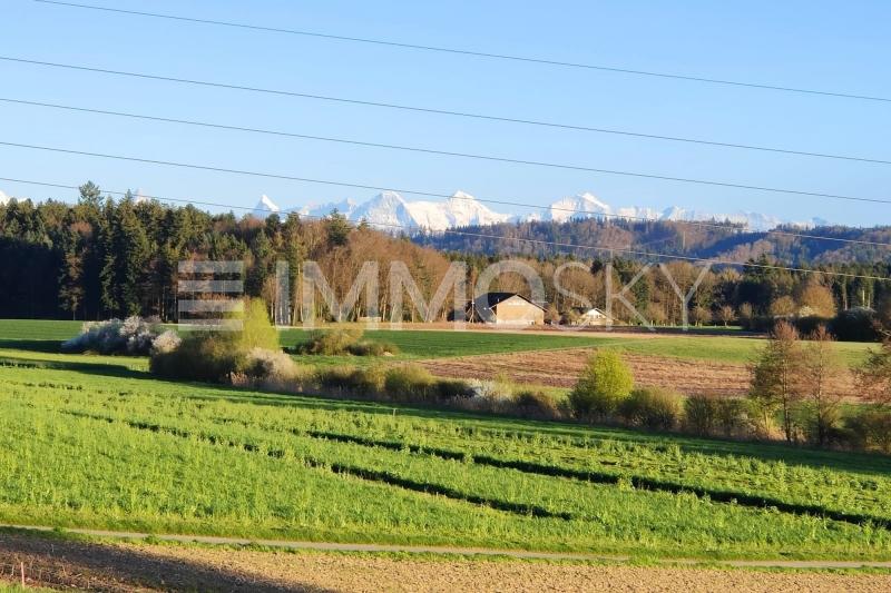 Grandiose Weitsicht - Bauernhaus in Grossaffoltern