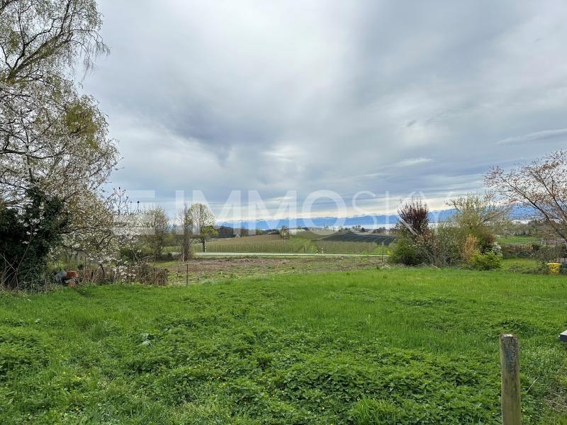 Seeblick - 