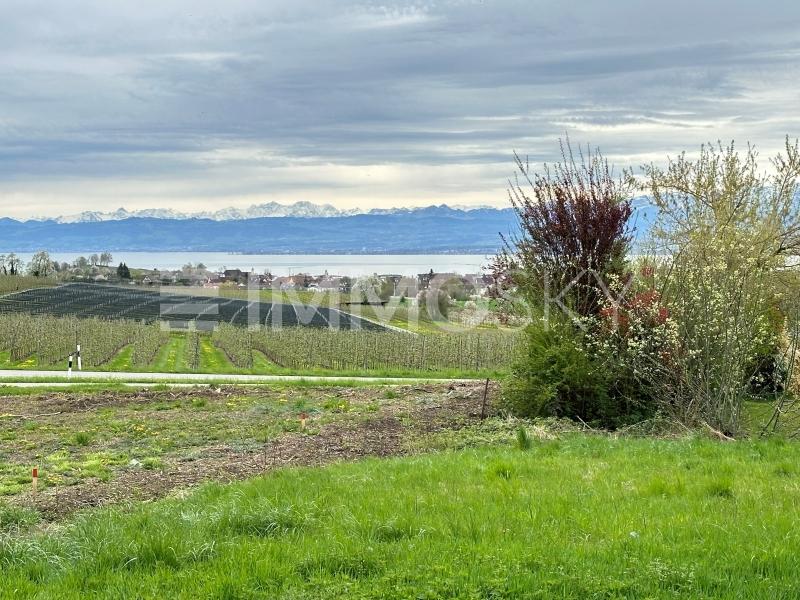 Seeblick - 