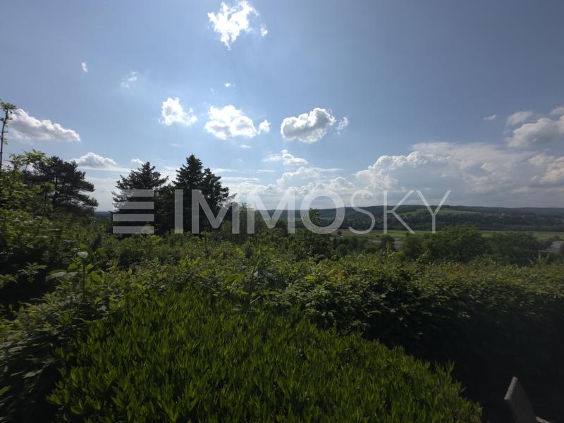 Schöne Aussicht am Biergarten - 