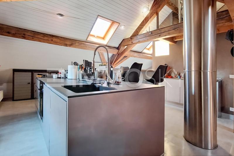 Cuisine professionnelle - 2.5 Zimmer Loft in Meyrin