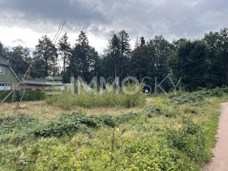 Rückansicht - 