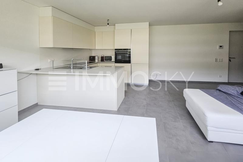 Elegante zona living - 2.5  Zimmer Etagenwohnung in Chiasso