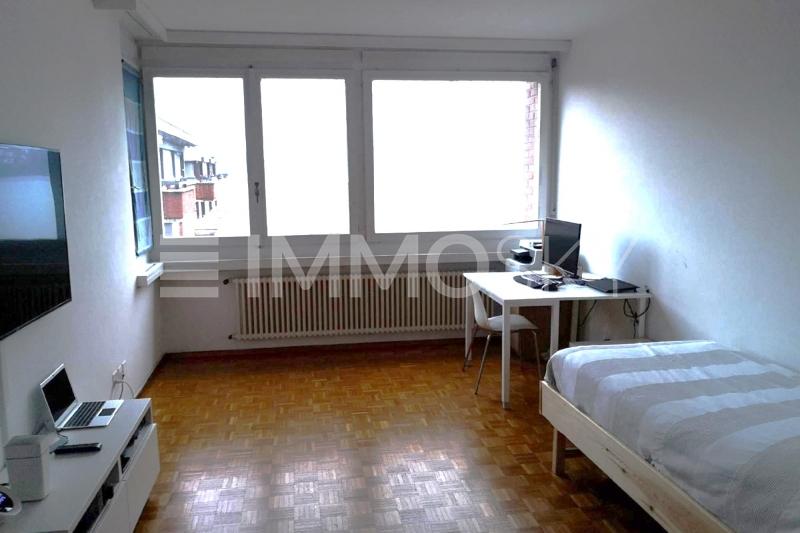 Grande finestra con vista lago - 1.5 Zimmer Etagenwohnung in Paradiso