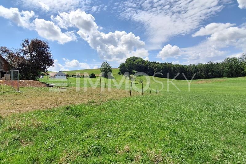 Vaste terrain agricole - Maison individuelle à Lovens