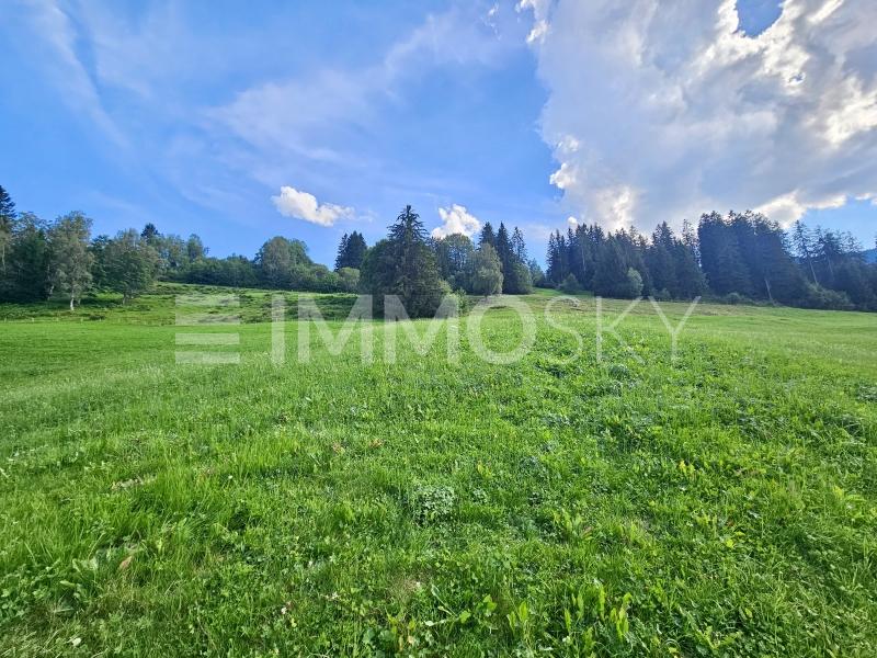 Grundstück hinter dem Stall - Bauland in Obersaxen Meierhof