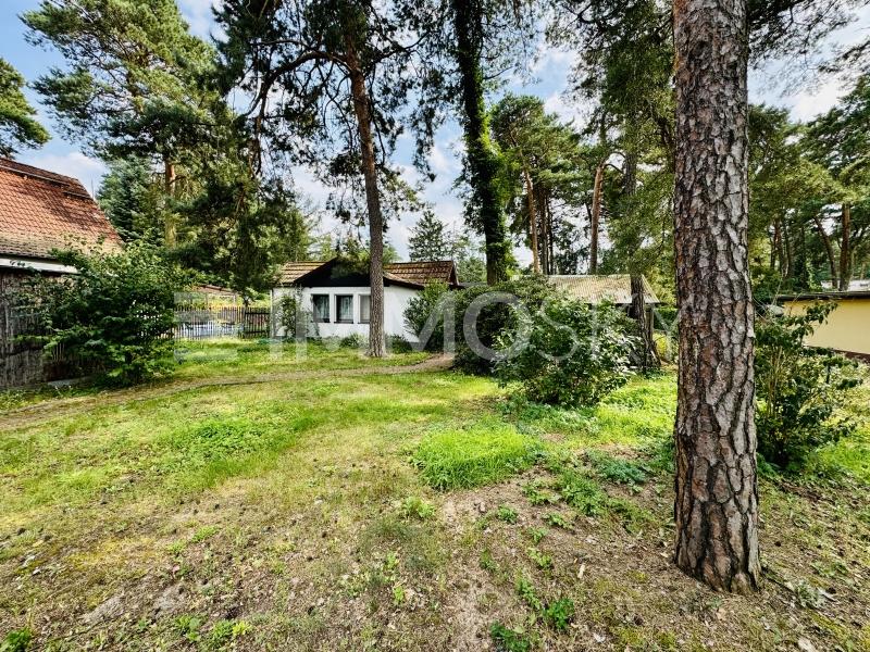 Idealer Schnitt - 