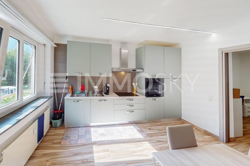 Spazi culinari - 3.5 rooms Flat in Losone