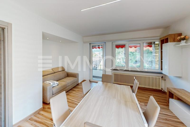 Soggiorno con balcone - 3.5 rooms Flat in Losone