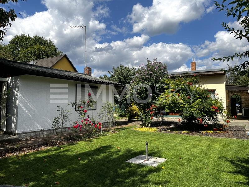 Sonniger Garten - 