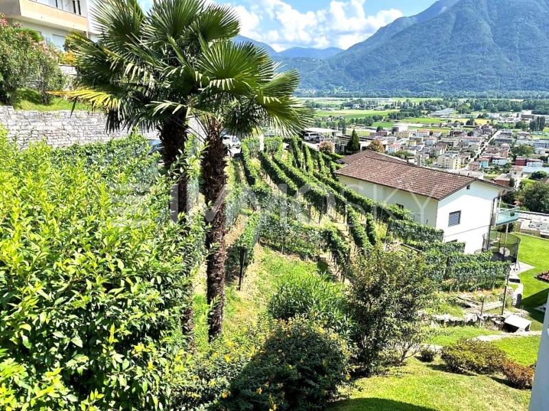 Il tuo splendido terreno - Terrain à bâtir à Gordola