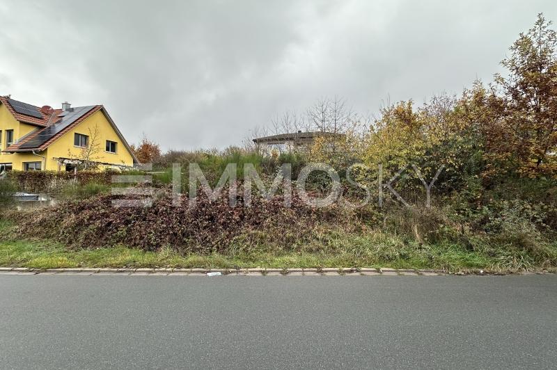 Grundstück Straßenansicht.jpg - 