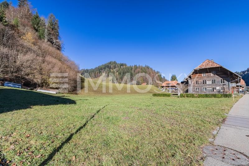 Beste Lage im Grünen - 4.5 Zimmer Haus in Trub