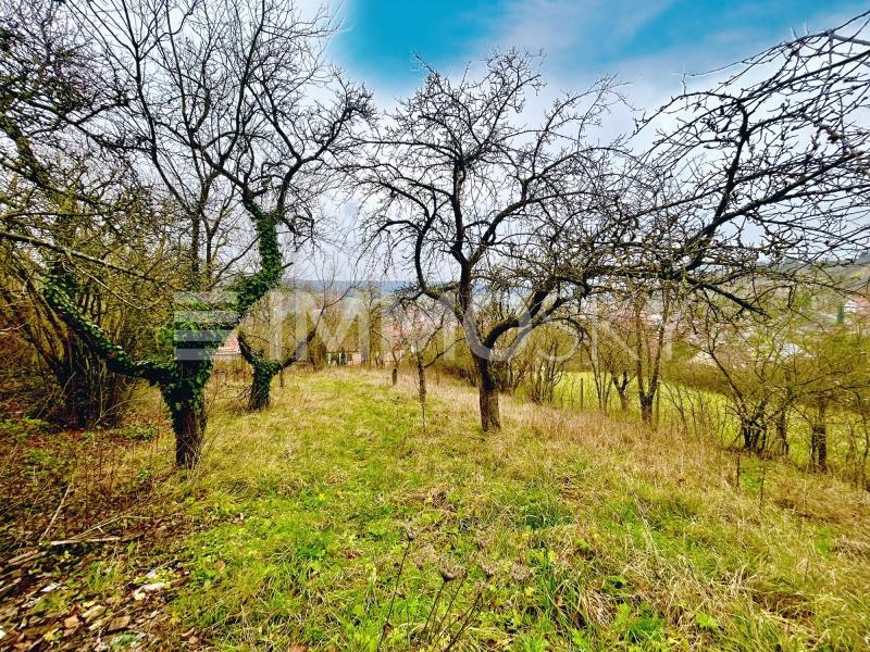 zukünftige Grundstück - 