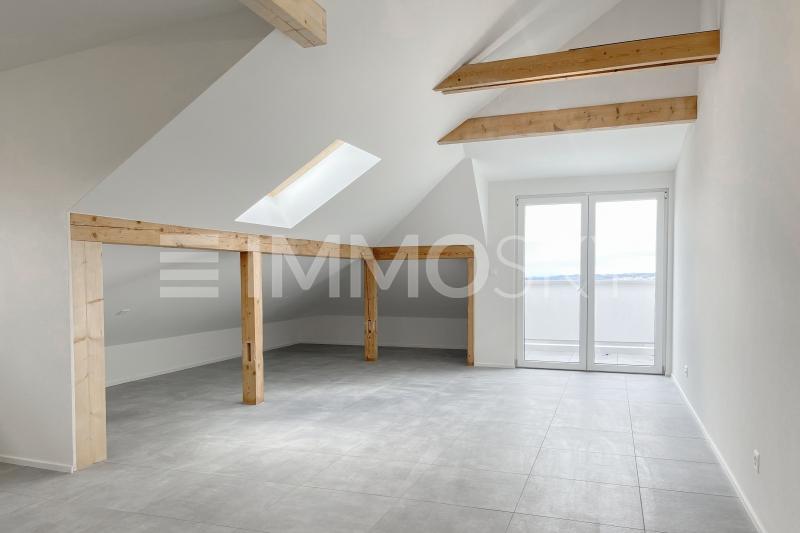 Lumineuse pièce à vivre - 1.5 pièces Studio a Vuisternens en Ogoz