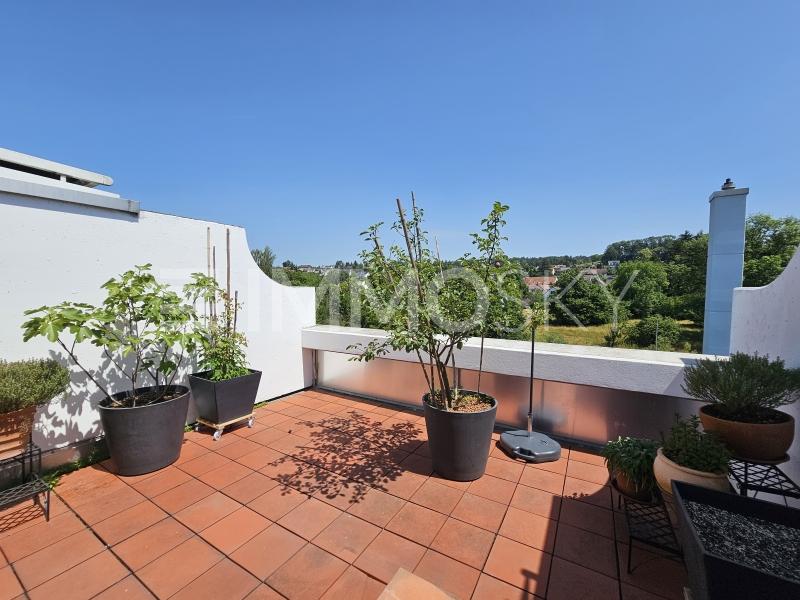 Herrliche Terrasse mit Aussicht ins  - 4.5 Zimmer Attikawohnung in Wangen b. Dübendorf