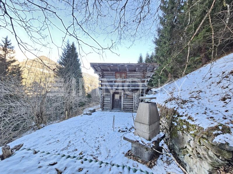 Erholung in der Natur - 1 Zimmer Einfamilienhaus in Praden